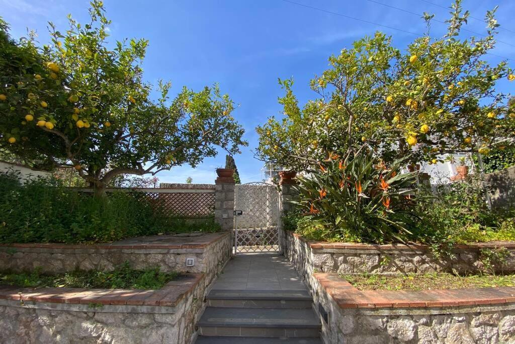 I Limoni Capri Apartment Exterior foto